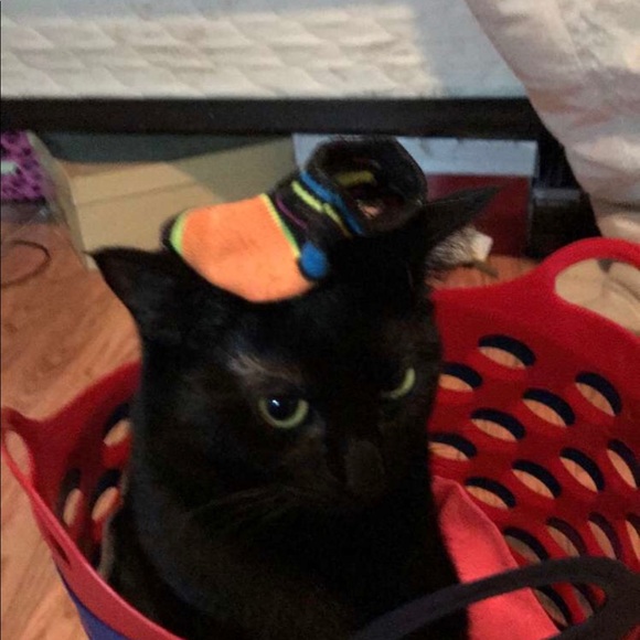 Meet your Posher, Kristen - Picture 9 of 13